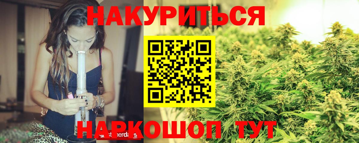 Каннабис сатива  Вход с VPN  Канабис OG Kush  Каннабис индика  Нягань 